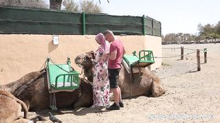 Hatalmas didkós arab hölgyemény dugása