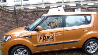 Fake Driving School - Louise Lee szereti a hatalmas pélót