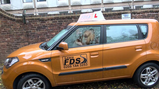 Fake Driving School cuki japán lány kúrni akar